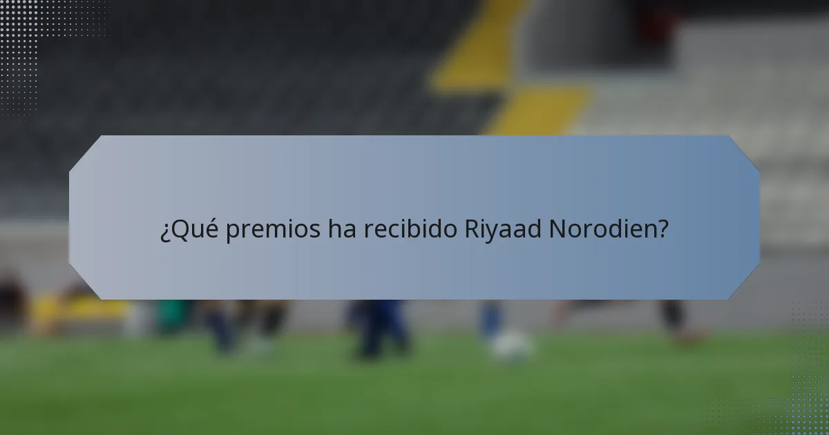¿Qué premios ha recibido Riyaad Norodien?